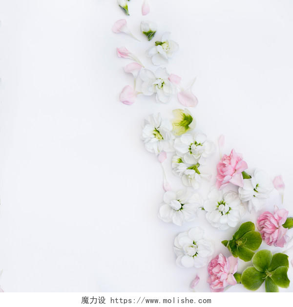 春天淡雅小清新简约花朵花卉图片